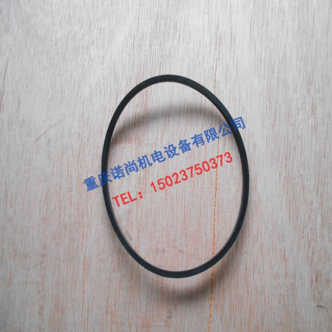 美国康明斯LTA10发动机水泵密封圈3892095