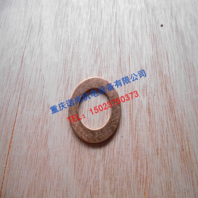 青岛康明斯K19飞轮壳垫圈衬垫553856